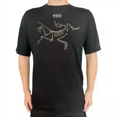 Arcteryx Ionia Merino Wool logoT