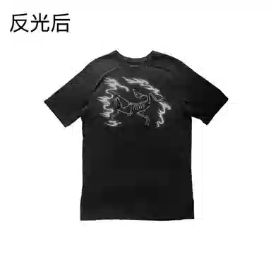 Arcteryx Ionia Merino Wool logoT