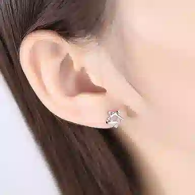 SHENGYALUO S999