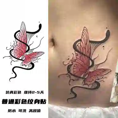 计轩  彩色蝴蝶组合性感持久防水纹身贴