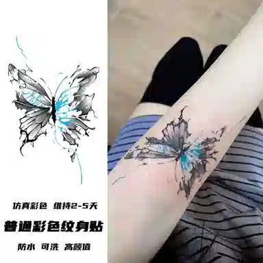 计轩  彩色蝴蝶组合性感持久防水纹身贴