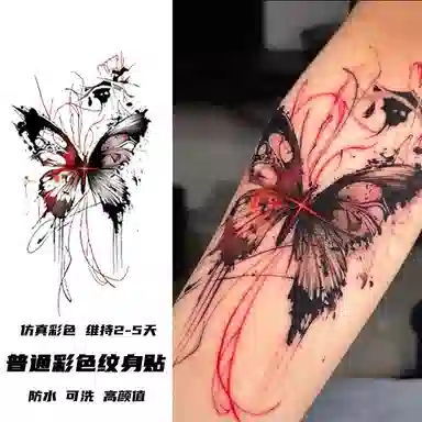 计轩  彩色蝴蝶组合性感持久防水纹身贴