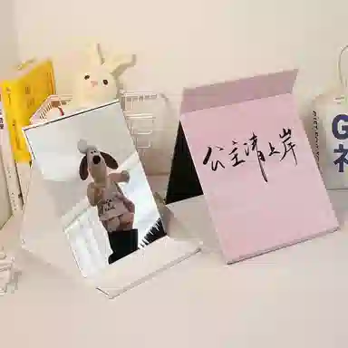 计轩 公主请上岸台式大号化妆镜