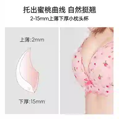 MISS CURIOSITY Portland