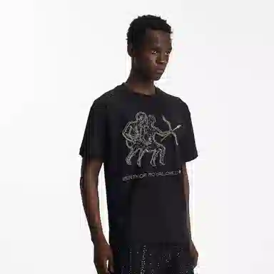 BIRTH OF ROYAL CHILD SS25 T