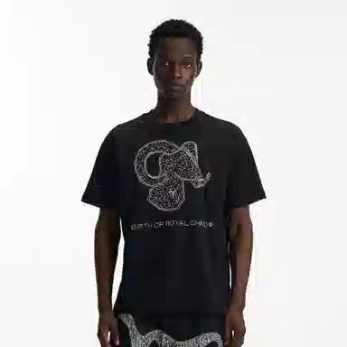 BIRTH OF ROYAL CHILD SS25 T