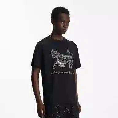 BIRTH OF ROYAL CHILD SS25 T