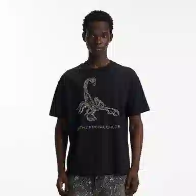 BIRTH OF ROYAL CHILD SS25 T