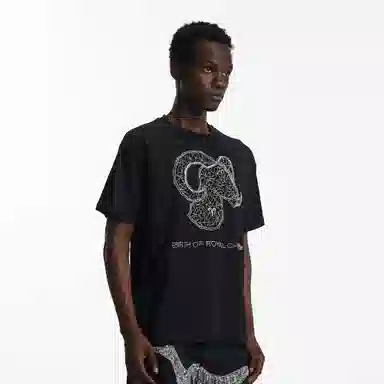 BIRTH OF ROYAL CHILD SS25 T