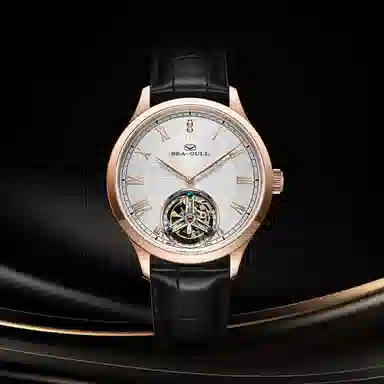 Sea-Gull 518.17.8833V