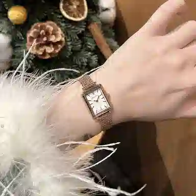 Sea-Gull 520.17.E1004LB