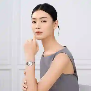 Sea-Gull 816.11.E1001LA