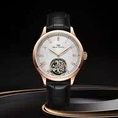 Sea-Gull 518.17.8833V