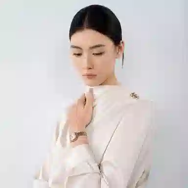 Sea-Gull 520.17.1082L