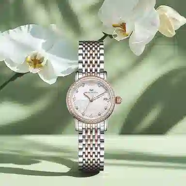 Sea-Gull 317.17.1074L