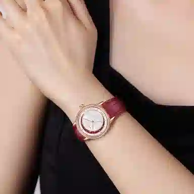 Sea-Gull 50 719.16.1132L