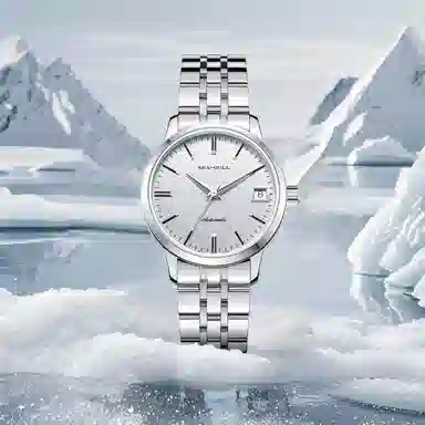 Sea-Gull 816.12.6165