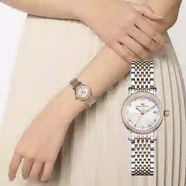 Sea-Gull 317.17.1074L