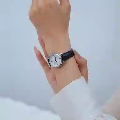 Sea-Gull E6001+E6001L