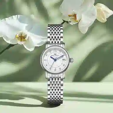 Sea-Gull 317.17.1074L