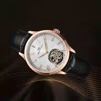 Sea-Gull 518.17.8833V