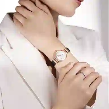 Sea-Gull 511.17.E1003LA