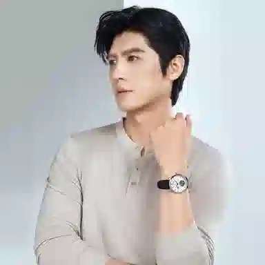 Sea-Gull 818.12.8828