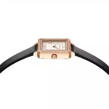 Sea-Gull 520.17.E1004LB