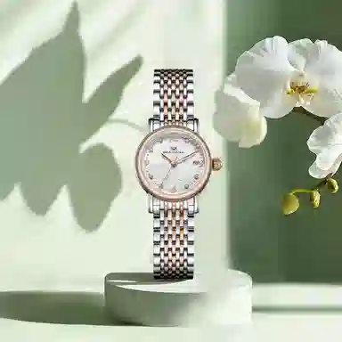 Sea-Gull 317.17.1074L