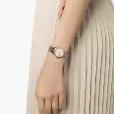 Sea-Gull 317.17.1074L