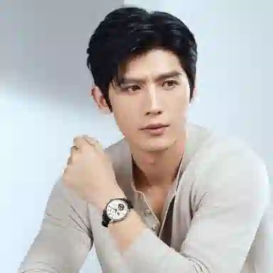 Sea-Gull 818.12.8828