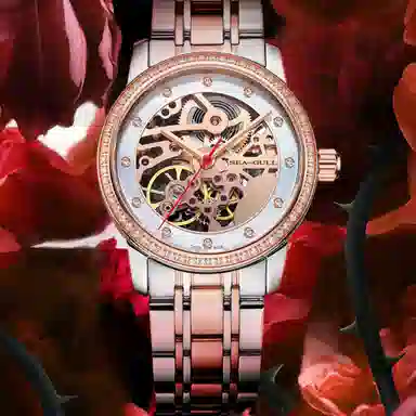 Sea-Gull 317.15.6120KL