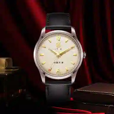 Sea-Gull 819.17.1070