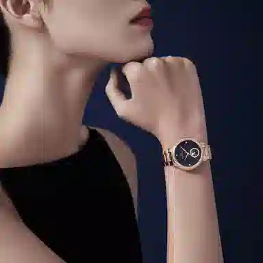 Sea-Gull 310.15.1136L