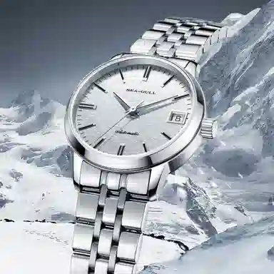 Sea-Gull 816.12.6165