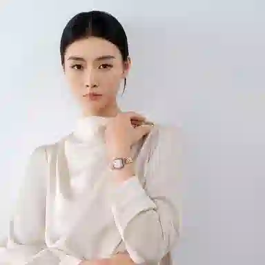 Sea-Gull 520.17.1082L