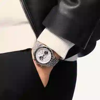 Sea-GullHORIZON 413.97.1073