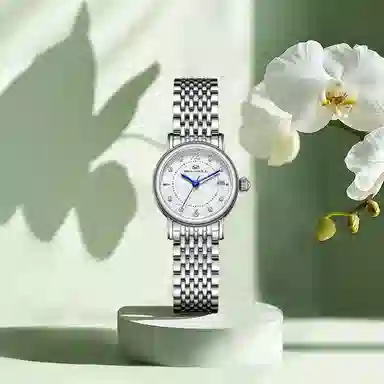 Sea-Gull 317.17.1074L