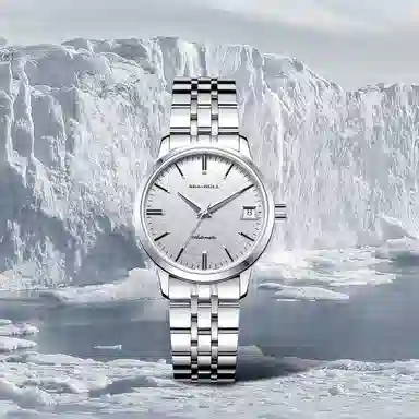 Sea-Gull 816.12.6165