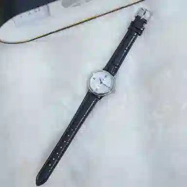 Sea-Gull E6001+E6001L