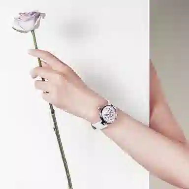 Sea-Gull 813.17.7064KL