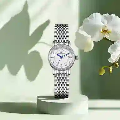 Sea-Gull 317.17.1074L