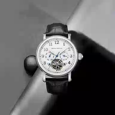 Sea-Gull 50 819.17.6123