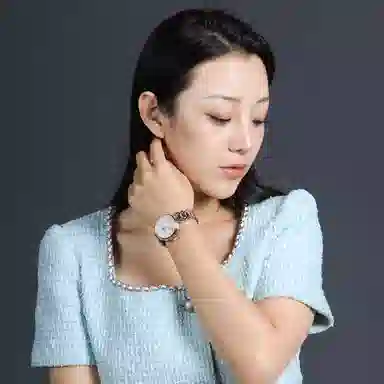 Sea-Gull 217.17.6134L-A