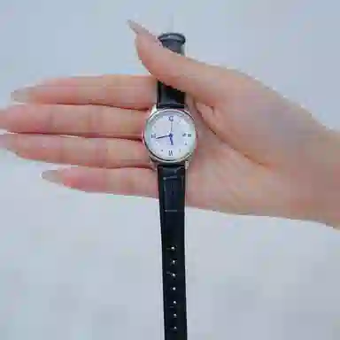 Sea-Gull E6001+E6001L