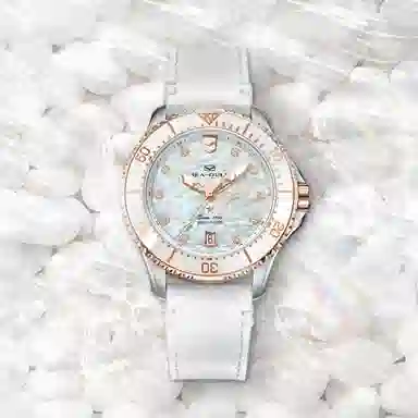 Sea-Gull 219.17.1211