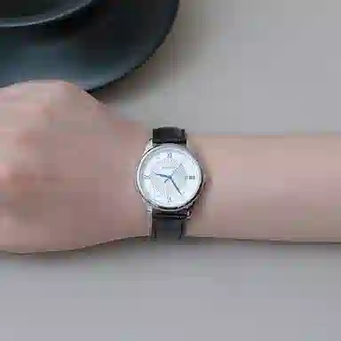 Sea-Gull E6001+E6001L