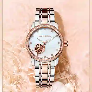 Sea-Gull 317.15.6121KL