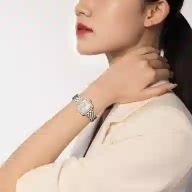 Sea-Gull 520.17.1082L