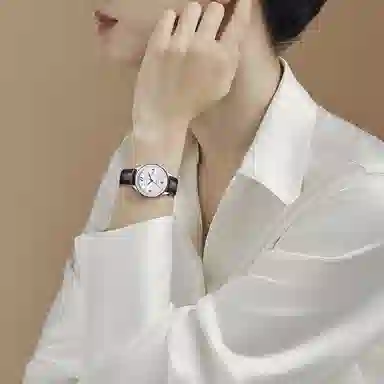 Sea-Gull E6003+E6003L